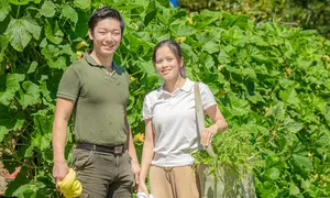 Chàng trai Nhật dùng chiêu 'chai mặt' để chinh phục cô gái Việt