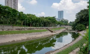 Sông Tô Lịch sau gần một năm triển khai dự án 'hồi sinh'