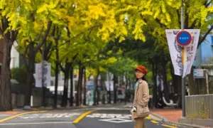 Chọn nơi ngắm lá vàng đỏ đẹp nhất ở Seoul